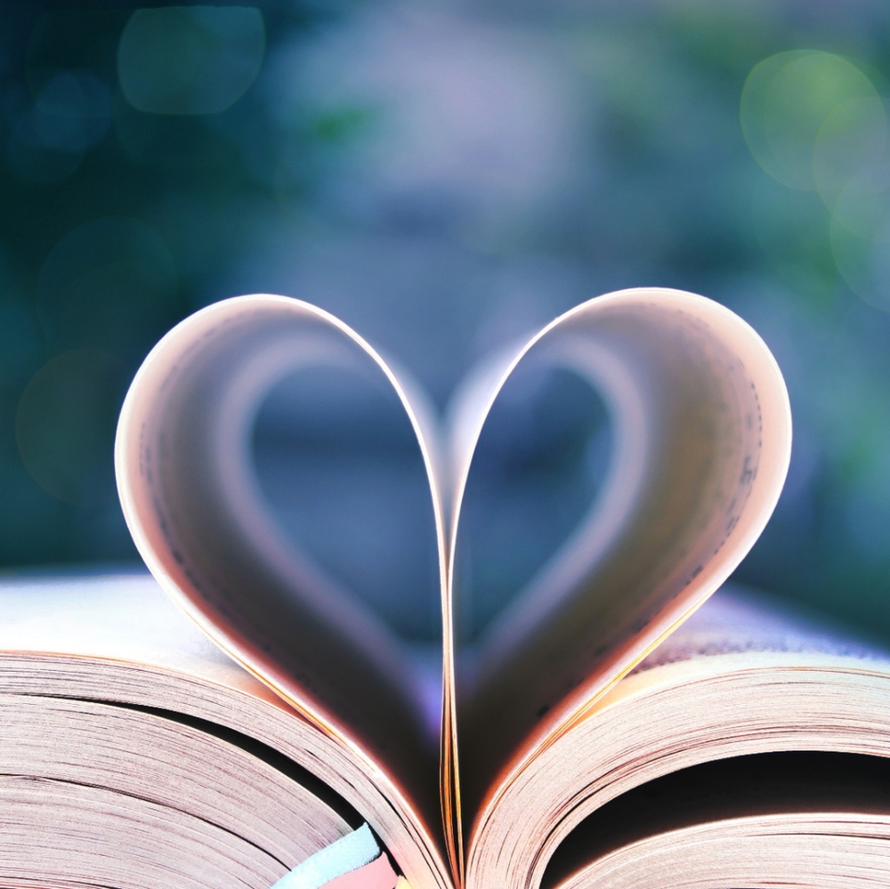 Meet your Posher, Liz